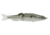 Duckett Fishing BD Glider, Green Shad, 7 in, BDGLIDE7-GRN SHAD