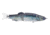 Duckett Fishing BD Glider, Threadfin Shad, 7 in, BDGLIDE7-THREADFIN SHAD
