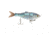 Duckett Fishing BD Shad, Lit Up Blue Back Herring, 6 in, BDSHAD6-SS LitUp BBH