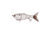 Duckett Fishing BD Shad Swimming Hard Bait
