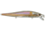 Duckett Fishing Reveal FFS Sinking Jerkbait