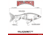 Duckett Fishing Wall Hanger Glide Hard Bait