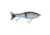 Duckett Fishing Wall Hanger Glide Hard Bait