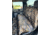Ducks Unlimited Dumr7771 2 Brl, Habitat, Regular, 56004