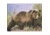 DuraMesh Archery Target Grizzly Bear, 25 in. x 32 in., Brown 1001412