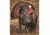 DuraMesh Archery Target, Turkey 3 32 in. x 25 in. DM218