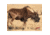 DuraMesh Archery Target Black Wildebeest 25 in. x 32 in.