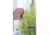 Dutton-Lainson Dutton Lainson Replacement Winch Handle 6307, 7in, 70304