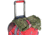 Eagle Creek Gear Warrior 4-Wheel Carry On, Coral Sunset, EC0A3XV6274