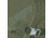 Eagle Creek Gear Warrior AWD International Carry-On, Olive, 34 L, EC0A2V6Y114