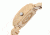 Earth Ew2401 Sagano Watch ETHEW2401