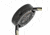 Ew3802 Brush Ladies Watch, Black