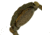 Earth Gila Watch, Olive Wooden Case ETHEW3304