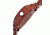 Earth EW2103 Scaly Watch, 46mm, Red Strap, Red Dial ETHEW2103