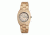 Earth Sede01 Hilum Watch, Khaki/tan ETHSEDE01