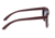Earth Venice Sunglasses, 018r, Rosewood, ESG018R