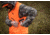 Eberlestock Blaze Orange Vest, Blaze Orange, X, HVHOX