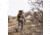Eberlestock H2 Gunrunner Backpack, Mirage, H2HR
