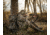 Eberlestock H2 Gunrunner Backpack, Mirage, H2HR