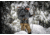 Eberlestock Kite 4800 Pack, Gray, F8GY