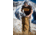 Eberlestock Kite Pack, Black, F7MB