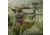 Eberlestock Recon Modular Bino Pack, Multicam, Small, Z1SMM
