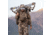 Eberlestock Recon Modular Bino Pack, Multicam, Small, Z1SMM