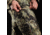 Eberlestock Salmon River Canyon Pants - Mens, Mirage, 32L, SRR32L