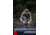 Eberlestock Selway Merino Baselayer Pant, Dry Earth, Extra Large, SPEX