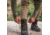 Eberlestock Selway Merino Baselayer Pant, Dry Earth, Extra Large, SPEX