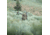 Eberlestock Vapor 2500, Mountain, 2500 C.I., V25AM-V2
