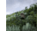 Eberlestock Vapor 2500, Mountain, 2500 C.I., V25AM-V2