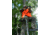 EBI Stand by Stick Shooting Rest HSSBS202
