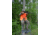 EBI Stand by Stick Shooting Rest HSSBS202