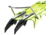Edelrid Beast Lite Crampons, Oasis/Icemint, 719680001180