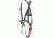 Edelweiss Explorer - Full Body Harness 2 HEXP.2