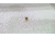 EDEMO Ammo, Inc. 9mm Luger 115 Grain Full Metal Jacket Centerfire Projectiles, 1000 rounds, P9115FMJ, EDEMO1