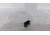 EDEMO SeeAll Open Sights Micro SeeAll Open Sight, Crosshair, Black, 850006380572, EDEMO1
