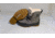 EDEMO Sorel Tivoli IV Waterproof Winter Boot - Women's, Quarry, 6.5, 1870091-052-6.5, EDEMO1