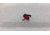 EDEMO TRYBE Defense Drop-In Trigger, AR-15, 3.5 - 5 lbs Pull, Curved, Anodized, Red, TRGCURAR15-RED, EDEMO1