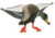 Edge Expedite Decoys 812181