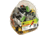 Egear Sparkie Assorted 20-902-0005-A50