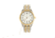 Elevon Garrison Bracelet Watch W/Date, Gold/White, ELE105-5, EDEMO1