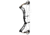 Elite Archery Impulse 34 Bow, 29 in, 70 lb, RH, Black Riser ELT14482870