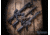 EMG KRYTAC/BARRETT Firearms REC7 DI AR15 AEG Training Rifle, Length Carbine, Black, KTAEG-BREC7C-BK01