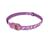 Energizer Disney Princess LED Headlight,Pink PRNHD2B
