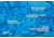 Eno DoubleNest Print Giving Back Hammocks, Outside NPF/Charcoal, One Size, Z-NPF-DNP