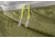 Eno JungleNest Hammock, Evergreen, JH-136
