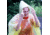 Essential Gear Emergency Poncho, Yellow EG310-PP1