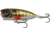 Eurotackle 00345 Z-Popper 1.5" - Baby Bluegill, 345